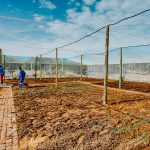 WhatsApp Image 2020-06-19 at 10.21.30